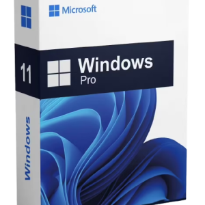 LICENCE WINDOWS 11 Pro Steaker